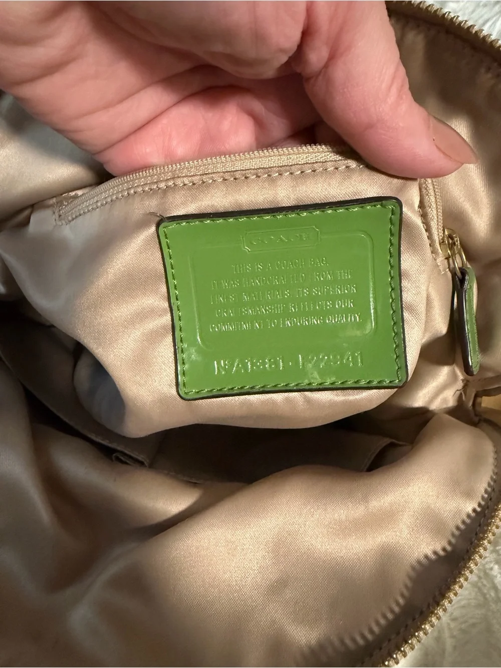 Y2K Coach Poppy Daisy Satchel beige and green double way style